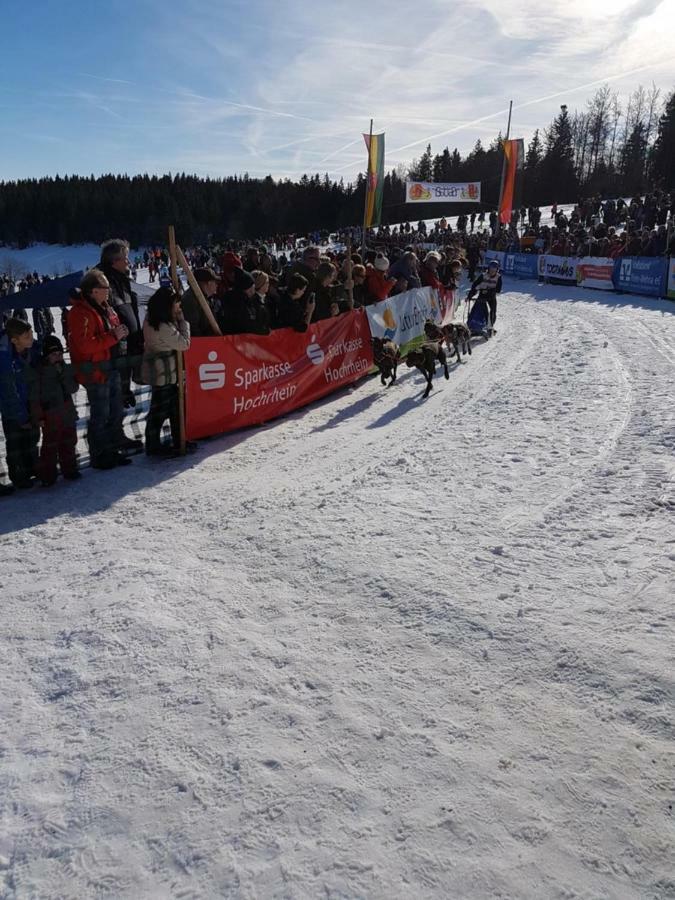 Fewo Mit Pool Haus Enere Au Todtmoos Zewnętrze zdjęcie